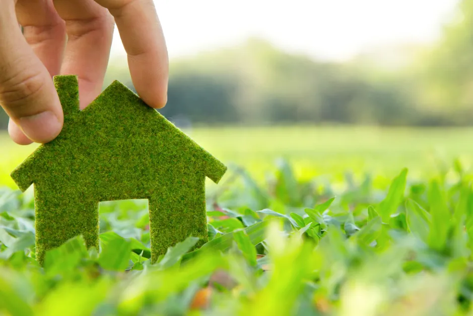 Sustainable Living How to Make Eco-Friendly Lifestyle Choices Without Breaking the Bank